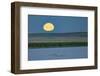 Canada goose family as full moon sets over prairie pond in Medicine Lake NWR, Montana, USA-Chuck Haney-Framed Photographic Print