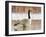 Canada Goose Standing in a Still Marsh-Larry Ditto-Framed Premium Photographic Print