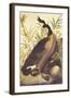 Canada Goose-John James Audubon-Framed Art Print