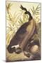 Canada Goose-John James Audubon-Mounted Art Print
