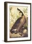 Canada Goose-John James Audubon-Framed Art Print