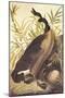 Canada Goose-John James Audubon-Mounted Art Print