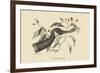 Canada Goose-Mark Catesby-Framed Premium Giclee Print