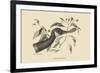 Canada Goose-Mark Catesby-Framed Premium Giclee Print