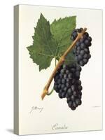 Canada Grape-J. Troncy-Stretched Canvas