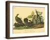 Canada Grouse-John James Audubon-Framed Art Print