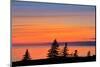 Canada, Gulf of St. Lawrence, West Cape. Silhouetted Trees .-Mike Grandmaison-Mounted Photographic Print