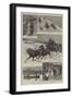 Canada Illustrated, Canadian Pastimes-null-Framed Giclee Print