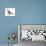 Canada Jay (Perisoreus Canadensis), Birds-Encyclopaedia Britannica-Stretched Canvas displayed on a wall