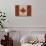 Canada License Plate Flag-Design Turnpike-Giclee Print displayed on a wall