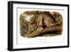 Canada Lynx, 1846-John James Audubon-Framed Giclee Print