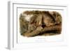 Canada Lynx, 1846-John James Audubon-Framed Giclee Print