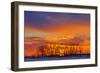 Canada, Manitoba, Altona. Trees at sunrise on the snowy prairie.-Mike Grandmaison-Framed Photographic Print