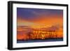 Canada, Manitoba, Altona. Trees at sunrise on the snowy prairie.-Mike Grandmaison-Framed Photographic Print