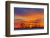 Canada, Manitoba, Altona. Winter sunrise on trees and prairie.-Jaynes Gallery-Framed Photographic Print