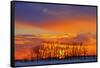 Canada, Manitoba, Altona. Winter sunrise on trees and prairie.-Jaynes Gallery-Framed Stretched Canvas