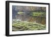 Canada. Manitoba. Autumn on Shore of Lasalle River. Canada-Jaynes Gallery-Framed Photographic Print