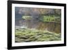 Canada. Manitoba. Autumn on Shore of Lasalle River. Canada-Jaynes Gallery-Framed Photographic Print