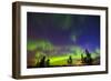 Canada, Manitoba, Birds Hill Provincial Park. Northern lights and tree silhouettes.-Jaynes Gallery-Framed Photographic Print