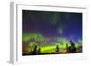 Canada, Manitoba, Birds Hill Provincial Park. Northern lights and tree silhouettes.-Jaynes Gallery-Framed Photographic Print