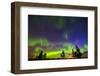 Canada, Manitoba, Birds Hill Provincial Park. Northern lights and tree silhouettes.-Jaynes Gallery-Framed Photographic Print