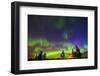 Canada, Manitoba, Birds Hill Provincial Park. Northern lights and tree silhouettes.-Jaynes Gallery-Framed Photographic Print