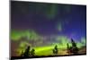 Canada, Manitoba, Birds Hill Provincial Park. Northern lights and tree silhouettes.-Jaynes Gallery-Mounted Photographic Print