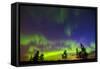 Canada, Manitoba, Birds Hill Provincial Park. Northern lights and tree silhouettes.-Jaynes Gallery-Framed Stretched Canvas