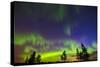 Canada, Manitoba, Birds Hill Provincial Park. Northern lights and tree silhouettes.-Jaynes Gallery-Stretched Canvas