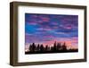 Canada, Manitoba, Birds Hill Provincial Park. Sunset silhouettes evergreen trees.-Jaynes Gallery-Framed Photographic Print