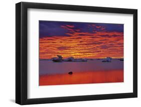 Canada, Manitoba, Churchill. Ice floes on Hudson Bay at sunset.-Jaynes Gallery-Framed Photographic Print