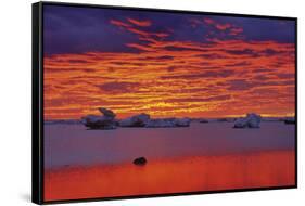 Canada, Manitoba, Churchill. Ice floes on Hudson Bay at sunset.-Jaynes Gallery-Framed Stretched Canvas