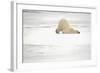 Canada, Manitoba, Churchill. Polar Bear on Frozen Tundra-Jaynes Gallery-Framed Photographic Print