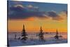 Canada, Manitoba, Churchill. Winter sunrise on Hudson Bay landscape.-Jaynes Gallery-Stretched Canvas