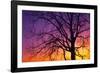 Canada, Manitoba. Cottonwood tree at sunset.-Jaynes Gallery-Framed Photographic Print