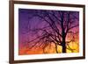 Canada, Manitoba. Cottonwood tree at sunset.-Jaynes Gallery-Framed Photographic Print