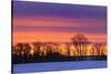 Canada, Manitoba, Dauphin. Silhouette of farmstead at dusk.-Jaynes Gallery-Stretched Canvas