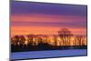 Canada, Manitoba, Dauphin. Silhouette of farmstead at dusk.-Jaynes Gallery-Mounted Photographic Print