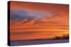 Canada, Manitoba, Deacon's Corner. Sunrise over the prairie in winter.-Mike Grandmaison-Stretched Canvas