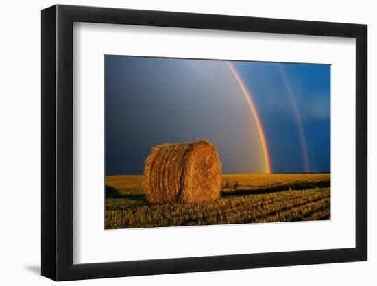 Canada, Manitoba. Double rainbow and hay bale after prairie storm.-Jaynes Gallery-Framed Photographic Print