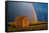 Canada, Manitoba. Double rainbow and hay bale after prairie storm.-Jaynes Gallery-Framed Stretched Canvas