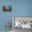 Canada, Manitoba. Double rainbow and hay bale after prairie storm.-Jaynes Gallery-Photographic Print displayed on a wall