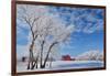 Canada, Manitoba, Hazelridge. Hoarfrost on trees and red barn.-Jaynes Gallery-Framed Photographic Print