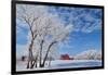 Canada, Manitoba, Hazelridge. Hoarfrost on trees and red barn.-Jaynes Gallery-Framed Photographic Print