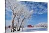 Canada, Manitoba, Hazelridge. Hoarfrost on trees and red barn.-Jaynes Gallery-Stretched Canvas
