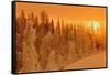 Canada, Manitoba, Pisew Falls Provincial Park. Winter forest at sunrise.-Jaynes Gallery-Framed Stretched Canvas