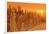 Canada, Manitoba, Pisew Falls Provincial Park. Winter forest at sunrise.-Jaynes Gallery-Framed Photographic Print