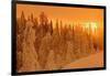 Canada, Manitoba, Pisew Falls Provincial Park. Winter forest at sunrise.-Jaynes Gallery-Framed Photographic Print