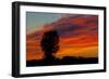Canada, Manitoba, Portage La Prairie. Tree and clouds at sunrise.-Mike Grandmaison-Framed Photographic Print