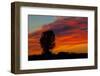 Canada, Manitoba, Portage La Prairie. Tree and clouds at sunrise.-Mike Grandmaison-Framed Photographic Print